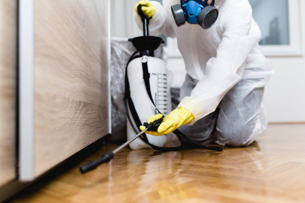 Best Emergency Pest Control  in Chippewa Falls, WI