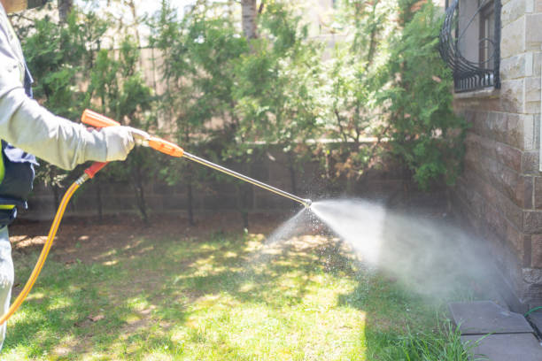 Pest Prevention Services in Chippewa Falls, WI
