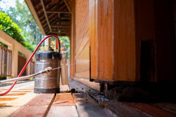 Best Pest Prevention Services  in Chippewa Falls, WI